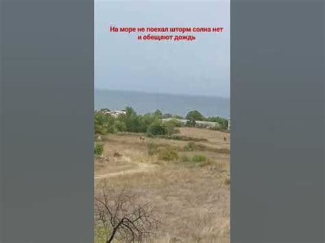 море штормит. #море #шторм - YouTube