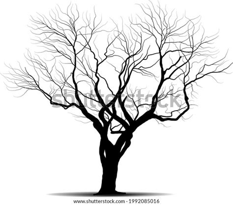 Black Branch Tree Naked Trees Silhouettes Stock Vector Royalty Free