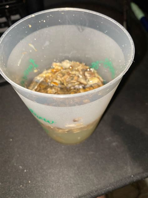 lemon tek tea 7
