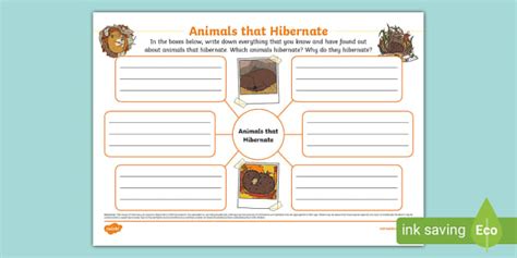 Hibernating Animals Mind Map Lehrer Gemacht Twinkl