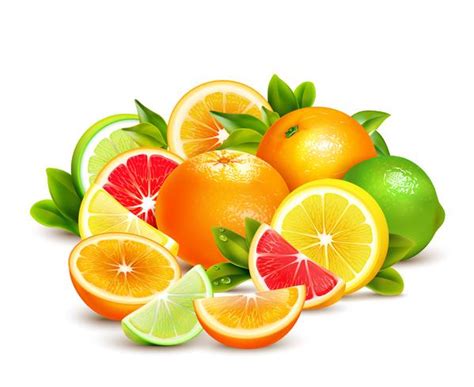 Citrus Fruits Collection Realistic Composition 481703 Vector Art At Vecteezy