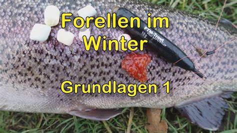 Forellen Im Winter Grundlagen Youtube