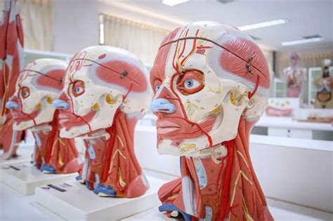 Pioneering Non-Invasive Brain Stimulation Techniques for Depression ...