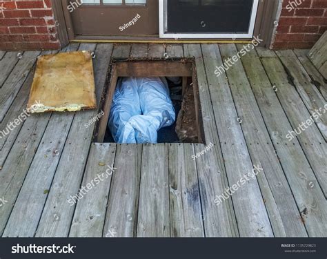 crawl  house images stock  vectors shutterstock