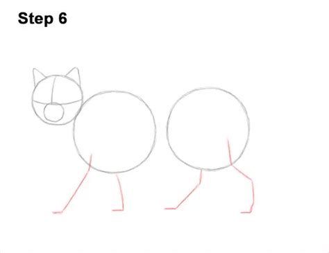 how to draw wildcat