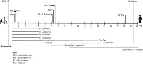 Clinical course of patient treatment | Download Scientific Diagram