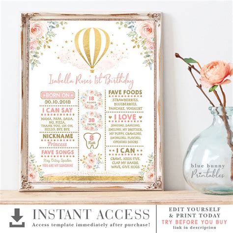 Hot Air Balloon St Birthday Milestone Sign Blush Pink Gold Watercolor Floral Birthday