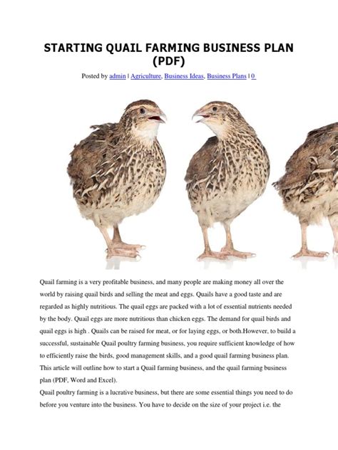 Quail Farming | PDF | Chicken | Business Plan