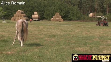 Smut Puppet A Proper MILF Blowjob Compilation XHamster