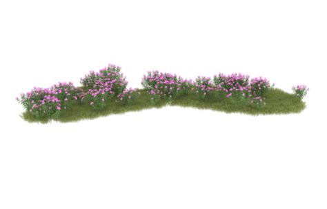 Flowers In The Meadow Pngs For Free Download