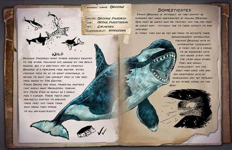 Orcinus Paleorca - the Killer-Whale Bioluminescent Buddies! - Creature ...