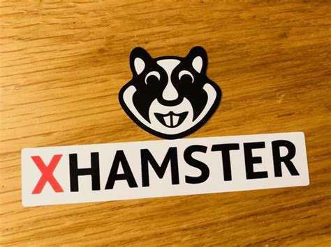 Xhamster Logo Sticker Porn Sex Youporn Pornhub Fun Funny Drip Mi455 EBay