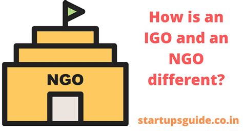 What Is Igo Igo Salomon Mağaza
