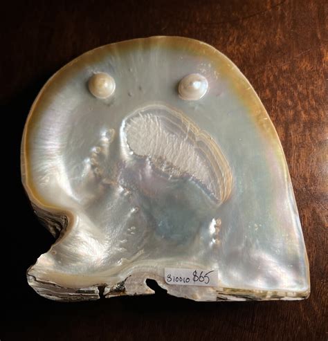 Pearlshell with large ‘Pearl’ domes – Moorabool Antique Galleries