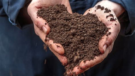 How Home Made Compost Improves Soil Health For Two Farms Farmers Weekly