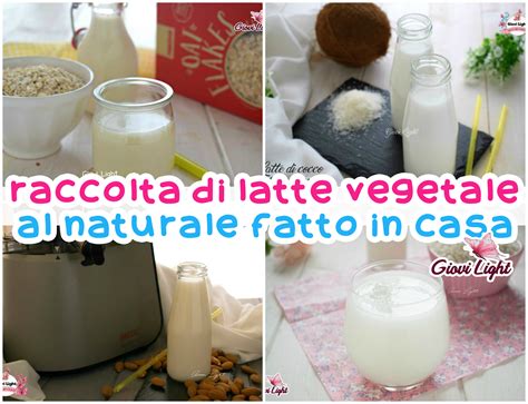 Il Tuo Latte Vegetale Fatto In Casa 1