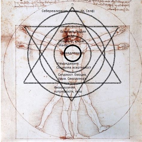 Психология на болестта : Мандала на човешките потребности, ценности и ...