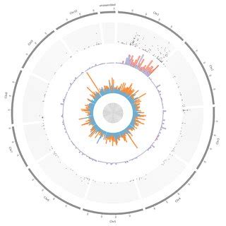 PDF A High Throughput Segregation Analysis Identifies The Sex Chromosomes Of Cannabis Sativa