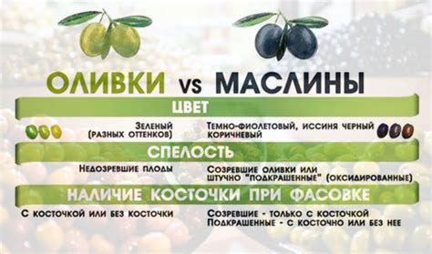 Маслины - калорийность, полезные свойства, польза и вред, описание ...