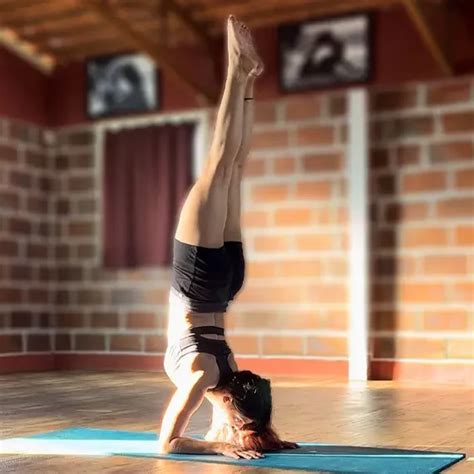 Best Yoga Teacher At Home Janakpuri Female Yoga Trainer Delhi
