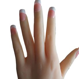 Sex Doll Buyer S Guide Wm Dolls Customisations Explained Tdh