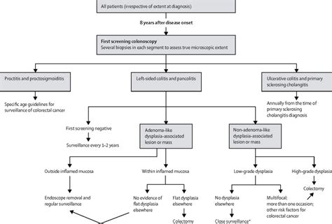 Ulcerative Colitis The Lancet