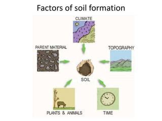 Factors of soil formation | PPT