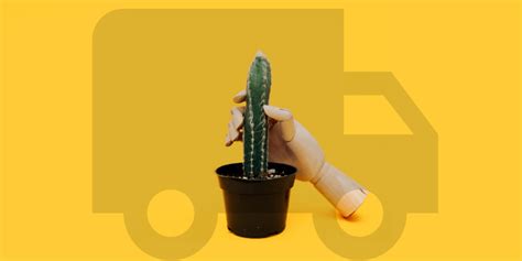 14 Sex Toy Drop Shipping Companies For The Hottest Products Legendary