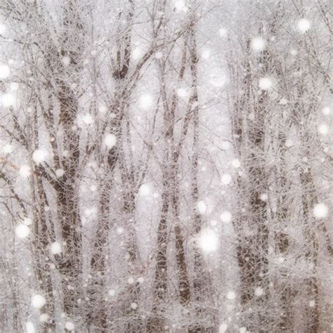 Snow White Naked Etsy Australia