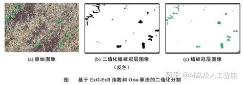 基于植物植被指数和otsu的冠层图像分割 知乎