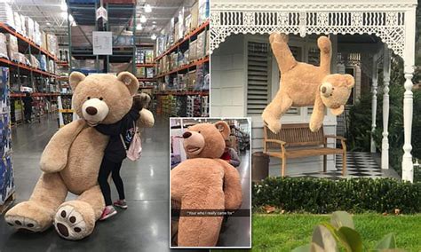 Costco Large Teddy Bear Sale