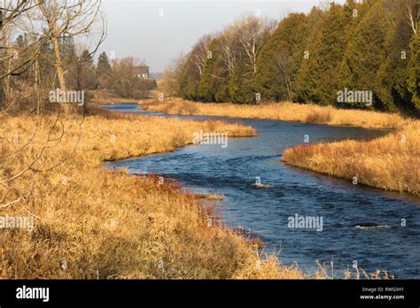 Grand River Early December A Canadian Heritage River Near Grand