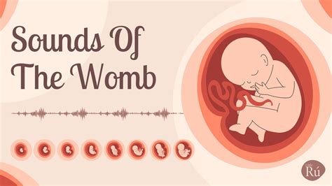 Womb Sounds For Babies White Noise Heartbeat And Underwater Sounds