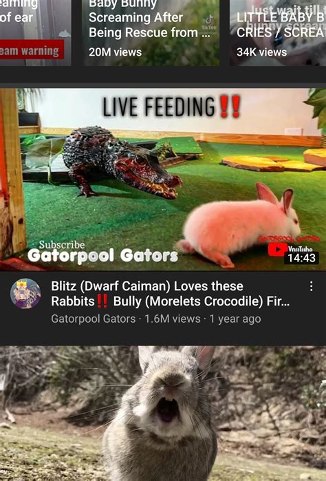 What The Actual Fucking Fuck R Awfuleverything