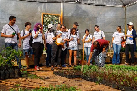 Visita Dos Alunos Do Qualifica Df No Viveiro I Novacap