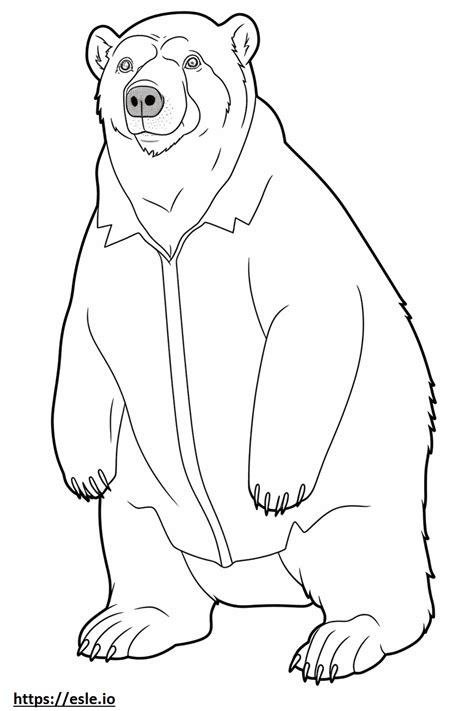 Spectacled Bear Full Body Coloring Page