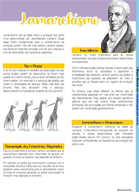 Ideia De Lamarck - Exemplos De Caracteristicas Adquiridas Escola De Frankfurt E A