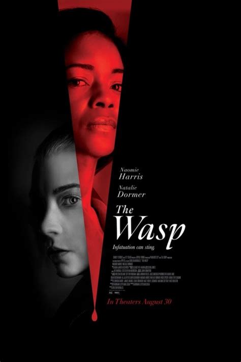 The Wasp Film 2024 Release Date Kevyn Merilyn