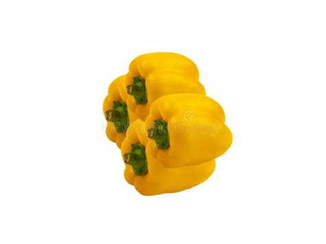 Capsicum Amazing Pretty Yellow Capsicum Stock Image Image Of Flower
