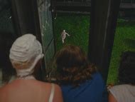 Naked Rachel Brosnahan In The Marvelous Mrs Maisel