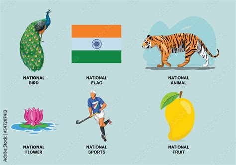 national symbol  india symbols   country nrrbg