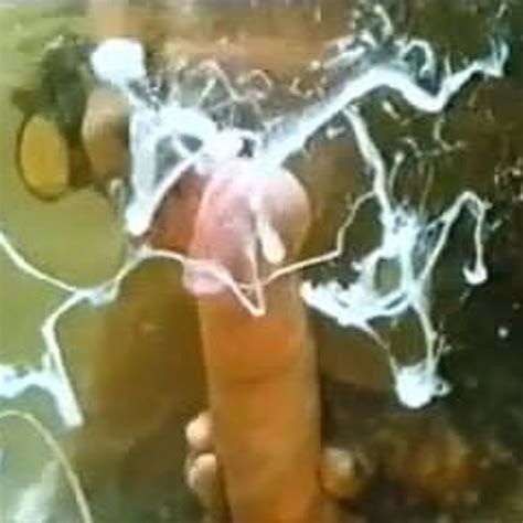 Vintage Underwater Blow Job And Cumshot Porn B Xhamster Xhamster