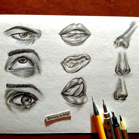 step by step drawing of nose 5