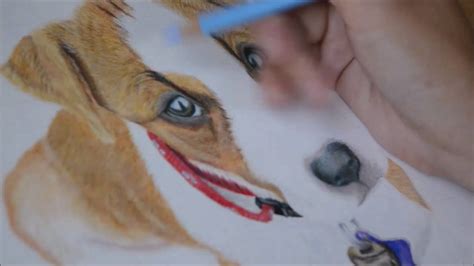 Realistic Drawings Of A Dog : http://www.pencilsketch.co.uk/images ...