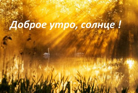 Ответы Mail.ru: как правильно сосать леденец?