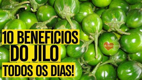 Jiló É Bom Para Quê - 10 Benefícios do JILÓ: Para que Serve e Como Usar - TEM EFEITOS ...