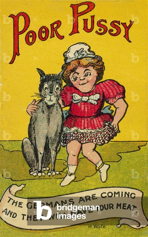 Poor Pussy Propaganda Postcard Colour Litho