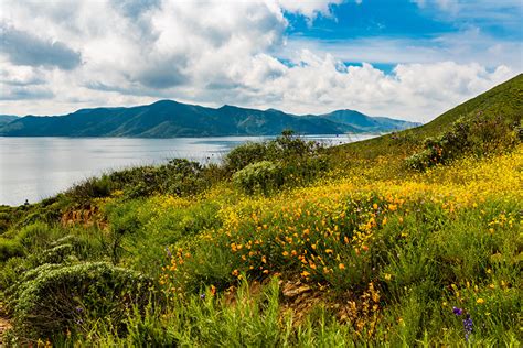 Фотография калифорнии США Hemet Горы Природа берег Трава