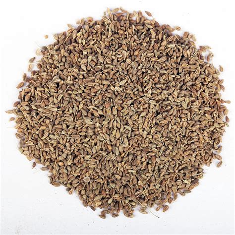 Anesu Asli - Saunf Rome - Foeniculum Vulgare - fennel Fruit – YUVIKA