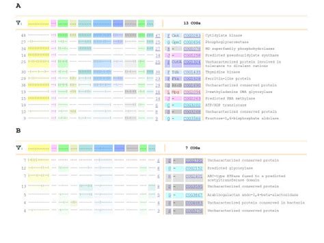 Examples Of Phyletic Pattern Search A Cogs Represented In